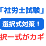 社労士 選択式対策（サムネイル画像）